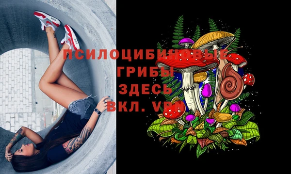 молекула духа Слюдянка
